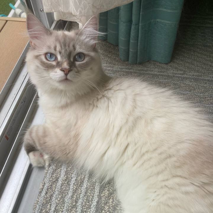 D790e439 8218 400b b944 d477292ca778 1685624585141