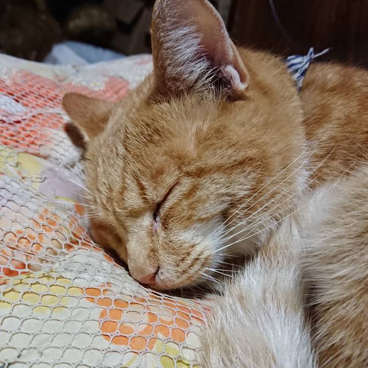 D7910b5b 6b3e 4aa7 b36b b8421d7712dd 1572178664440