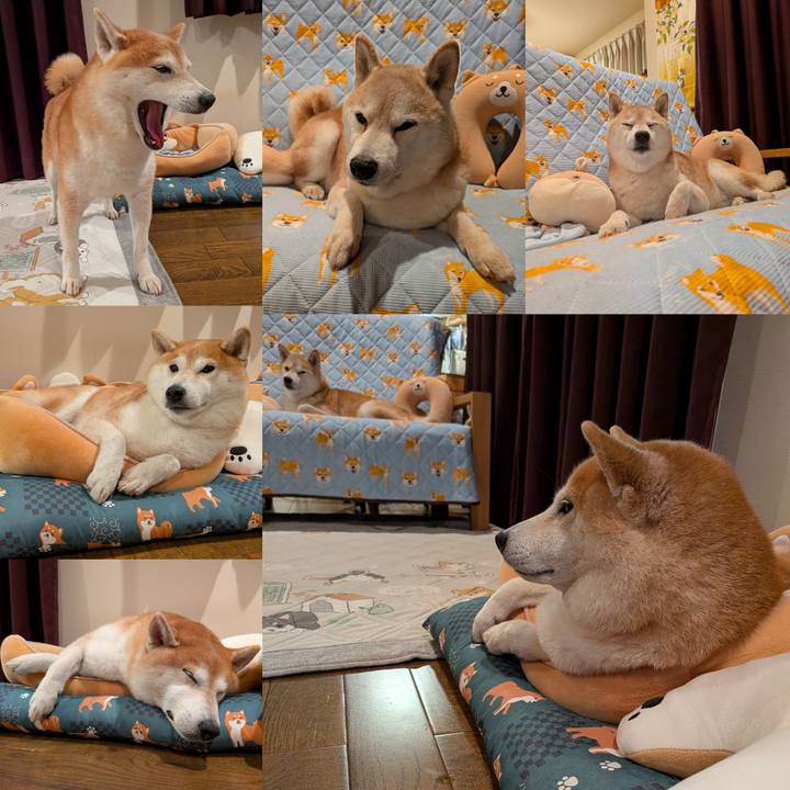 D791324e 4e2d 4603 883f a76e775002cb 1762175030611