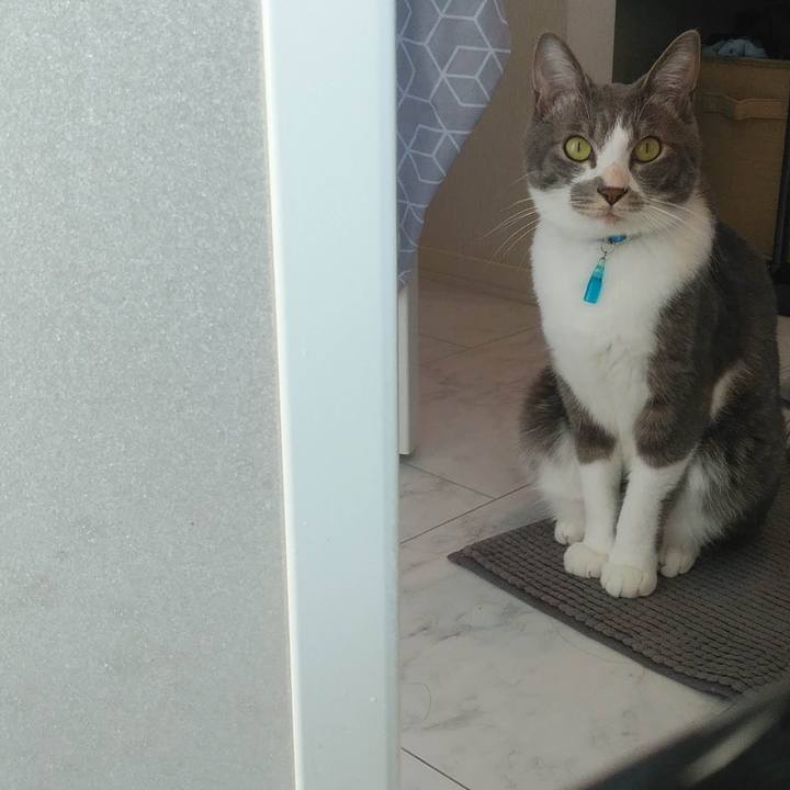 D7915d5d 4b7a 4959 9497 b256d9ff90b9 1618907083750