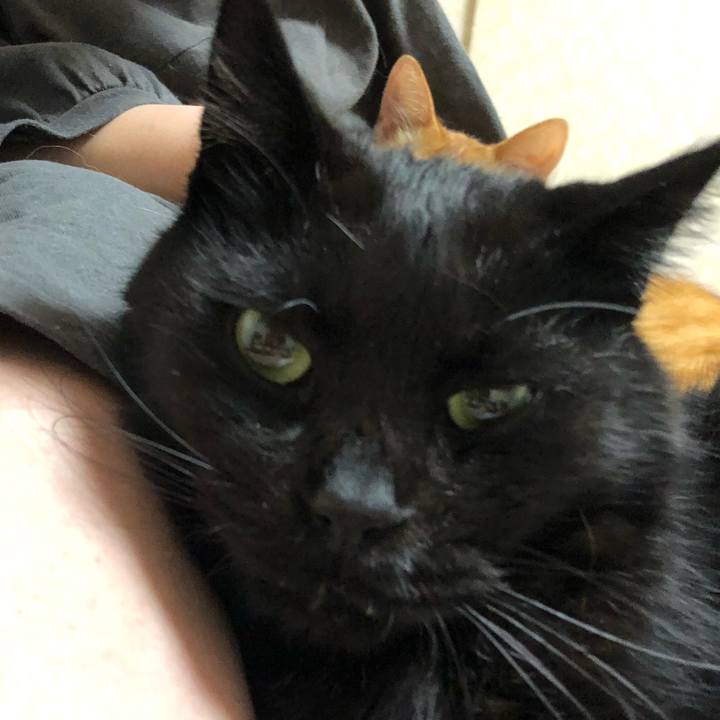 D7915eb9 1ac8 4a3f 9b4d c5a320200106 1635607910137