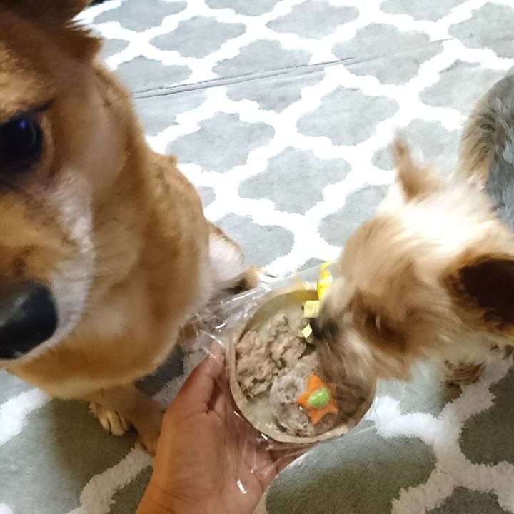 D7916fcb d7a5 4390 8c04 7805b34f0ca2 1550099995153