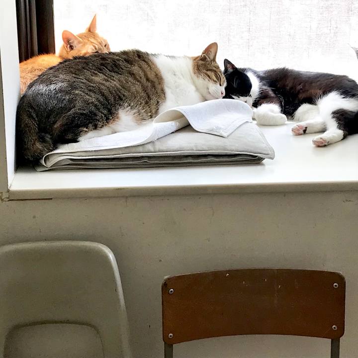 D7918120 b444 4f08 9711 266f1c325261 1524716898087