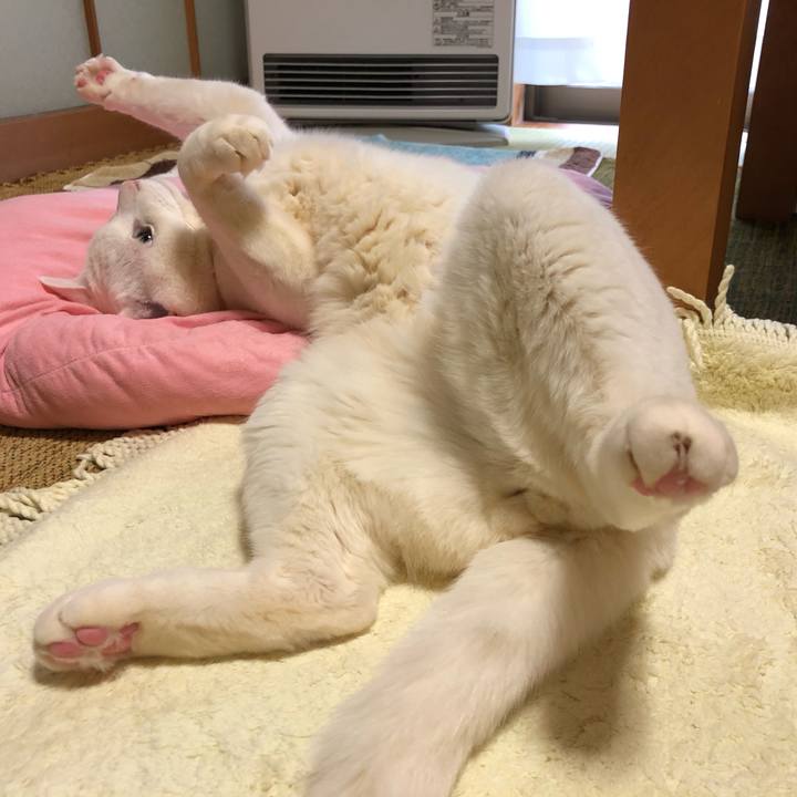 D791aef6 3341 4c1a b023 a14bda3b04e7 1613088672337