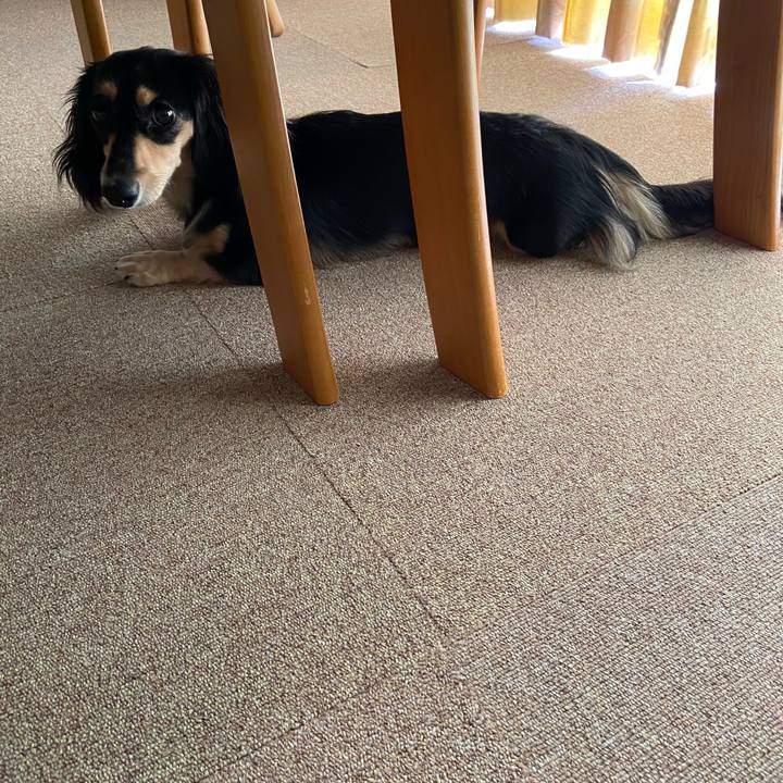 D791b740 0035 470e 8eb8 75bdf5088a45 1697515468808