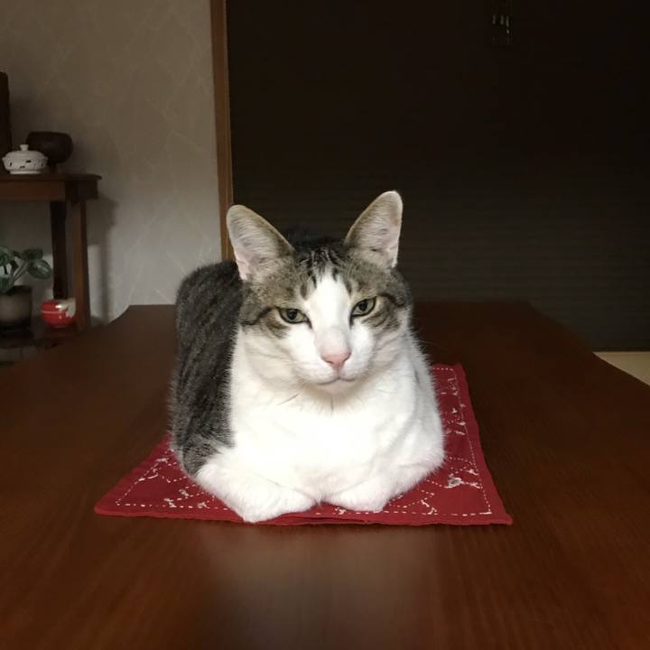 D791cb58 6579 42ae 8577 43b545b3e452 1622983366927