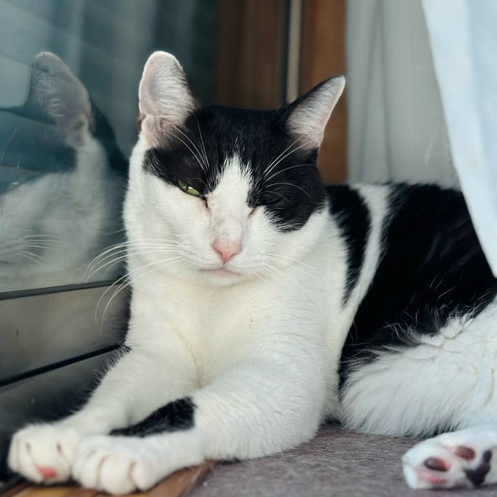 D792120d 858f 4681 852a 2632057247a4 1665885904874