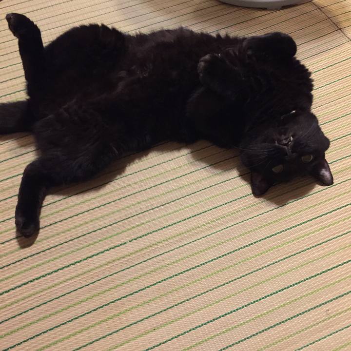 D7921764 703b 4010 87c5 09f9fa2fd6d1 1532692113841