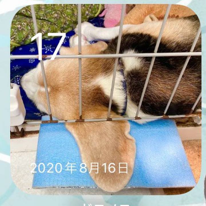 D7924824 4fd2 4a4d bd0a 4a47460417de 1723853254272