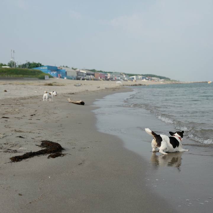 D7925d8a e636 402c abac 8f5692ac0abc 1531889208894