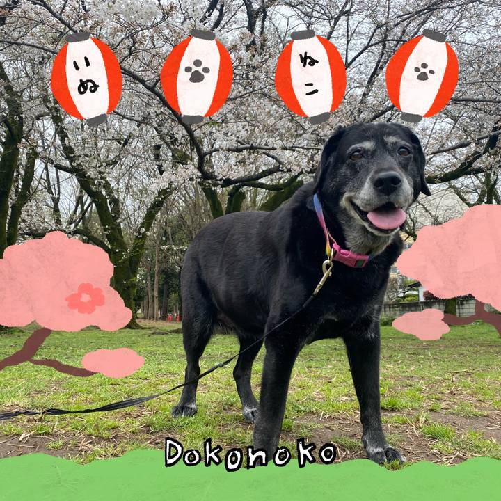 D7925f79 d3a1 4009 96b4 db9feac4da4d 1712236556078