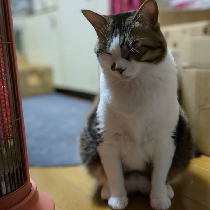 D792726d 02c3 4178 8628 2e22ecd854c7 1674336846212