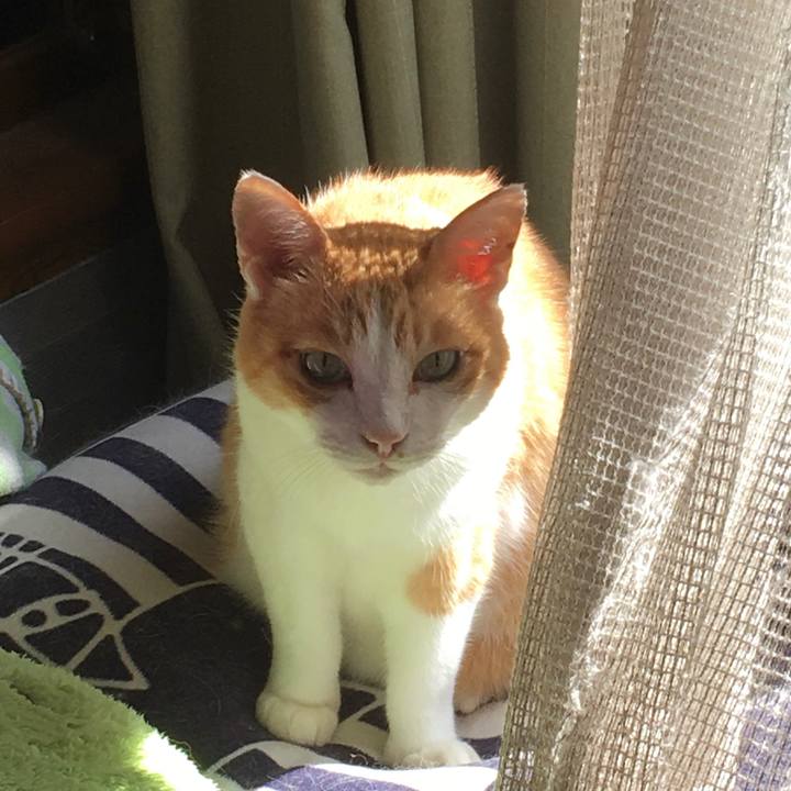 D792950f bf9b 4174 b0c0 e3069be8a2fd 1601712619874