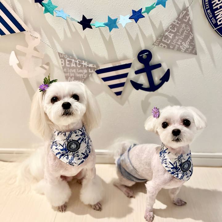 D792d283 86eb 4ba8 8333 77553e824134 1659595073048