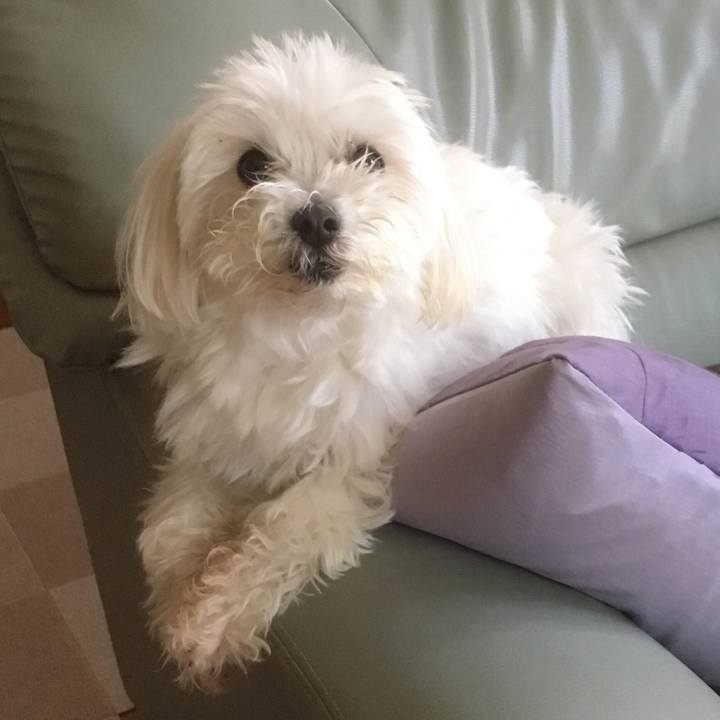 D792dba1 2349 4f9e 8011 7d8afbca9cbe 1526706856348