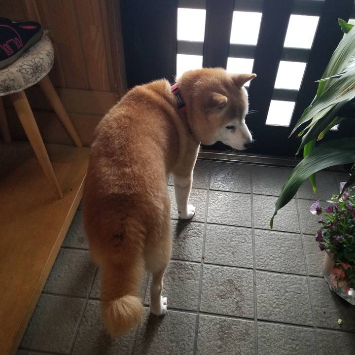 D7933f14 c936 4e18 804f 93b877fa47e2 1734313588569