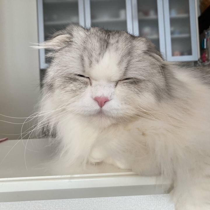 D7934898 2227 4c67 bdac ce6d81f76fec 1641907558399