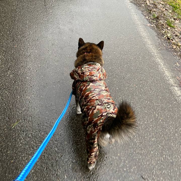 D79360cc 0f31 416c 8464 73244d1ec9ad 1678678635863