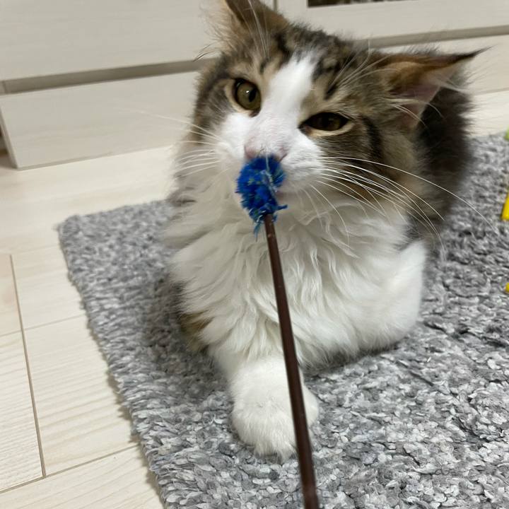 D793700d 34fc 4450 8c25 6a7eb2a4a7fc 1634553270892