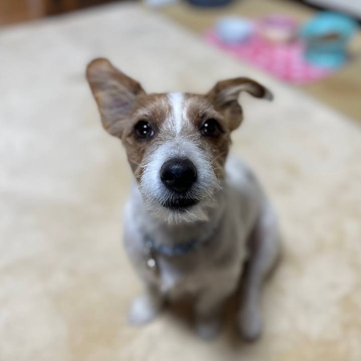 D7937cb9 666f 4238 a938 80e1f332860a 1762143367112