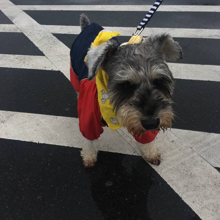 D793a338 dd09 42f5 a63c 0e8a75a1e3df 1560078974156