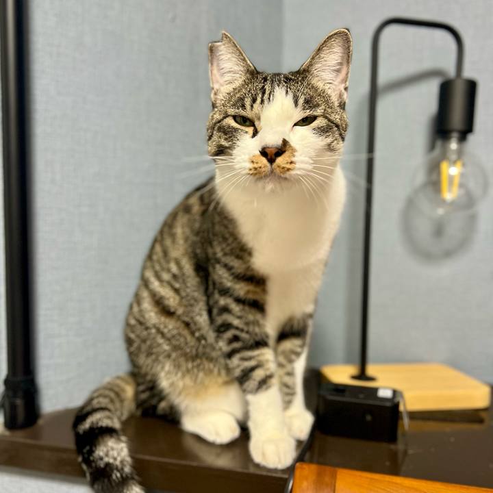 D793e24e d8ab 4c49 a70b bdab82bfbf33 1760273033983