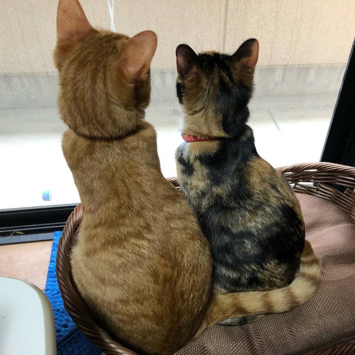 D794308f 6a9a 4067 9f65 eda4f71a2b25 1558949171382