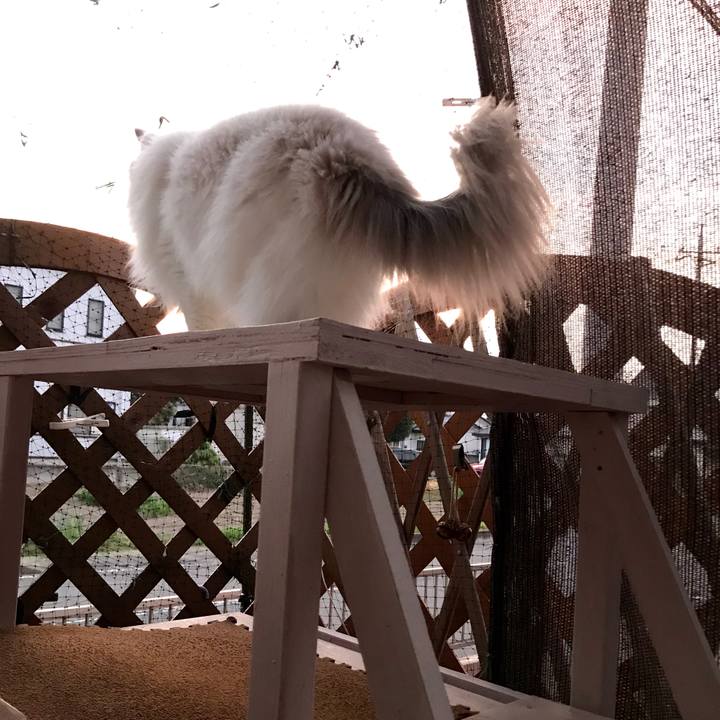 D7948380 0860 41b8 92d6 e9ec4ac68713 1597094893169