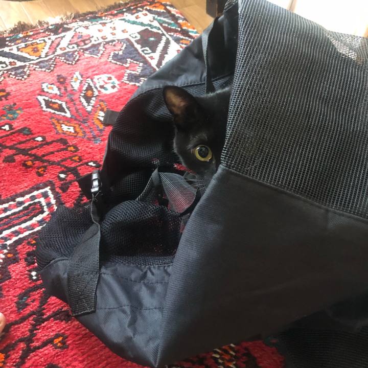 D794dec1 ced3 4eb1 9885 0725859cfc9f 1668650017453