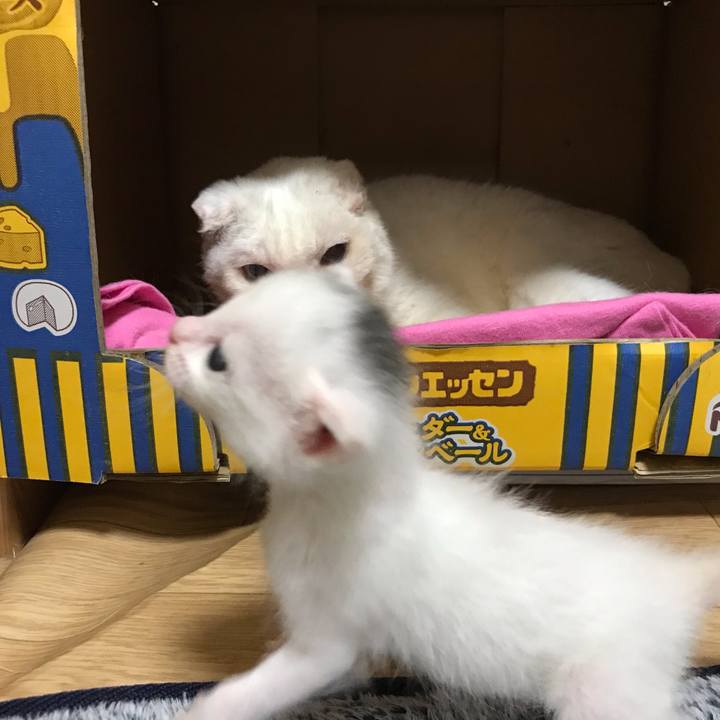 D79500e0 d59a 44ee aaad ea479a57d541 1590408621844