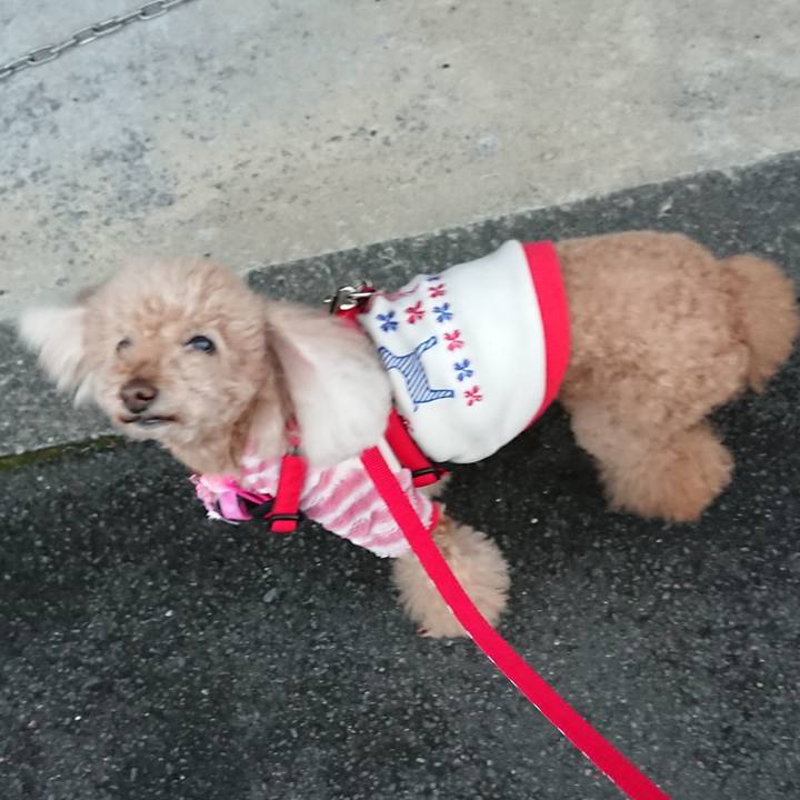 D7950da6 03fe 4684 bc41 50f6594ed4bd 1586078054899