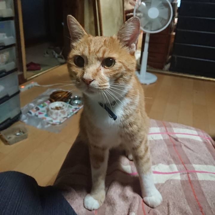 D7952ad7 aa33 4136 9e22 84f4189e9594 1598991209529