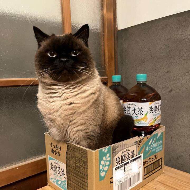 D7952e87 3477 4036 a1f7 89de4e8f0941 1673834102201