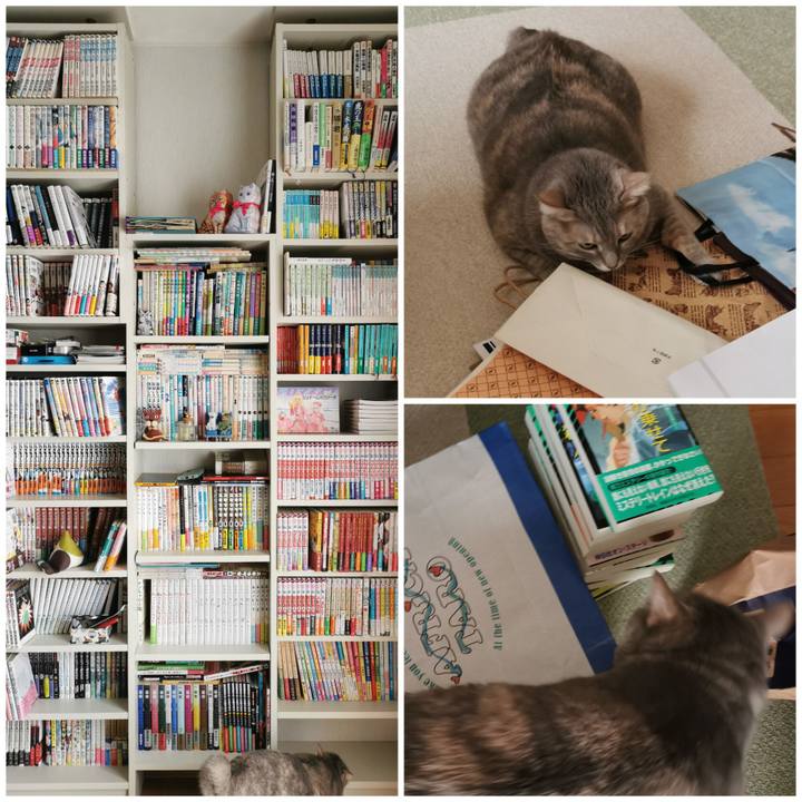 D7954441 1bc4 45dd be9f d541c1c81313 1671522356412