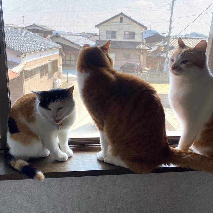 D79593ff 0c4e 4d95 86b3 feb9d2540e51 1647002722369