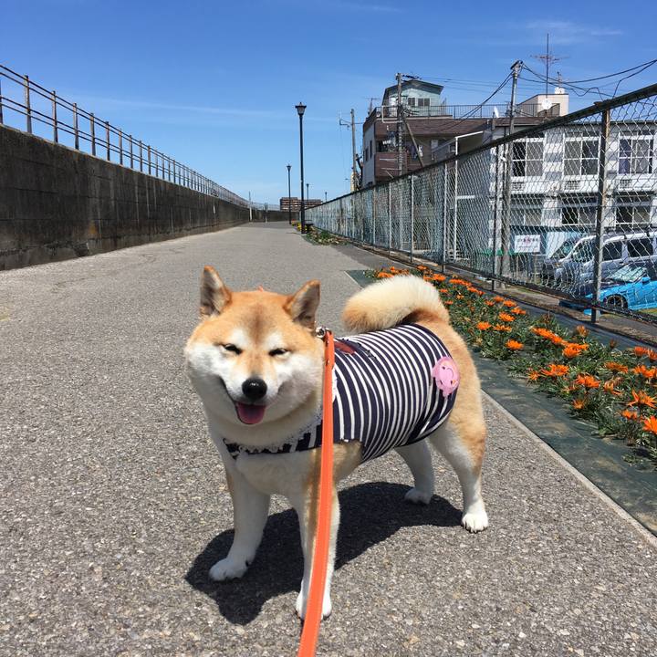 D795aed3 9b2c 4670 8d91 dfeaf391dc6c 1556428191535