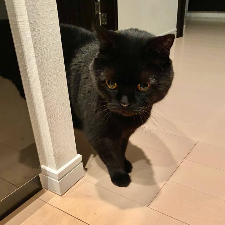 D795af9c e73a 4a2c ac8b 59c081016ae2 1680875017558