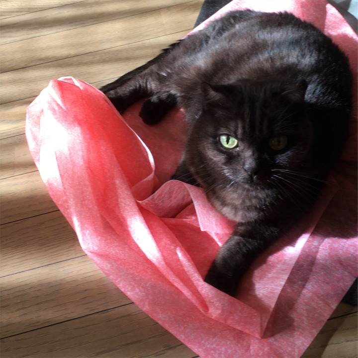 D795bfac 49a3 41c3 987c 270d9e0f1bb9 1546611531478