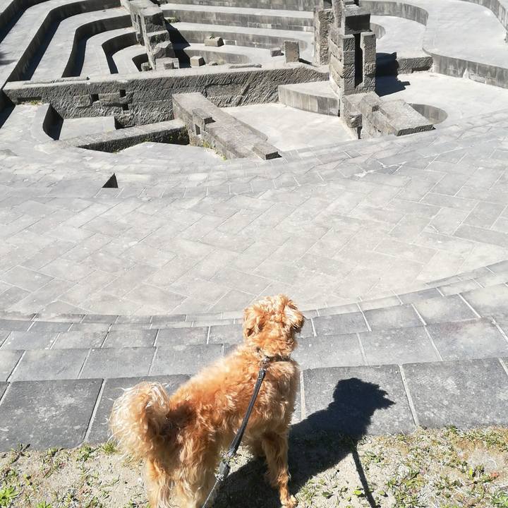 D795e02a 5f12 412c bc9a b9e3a8871e8d 1527403364625