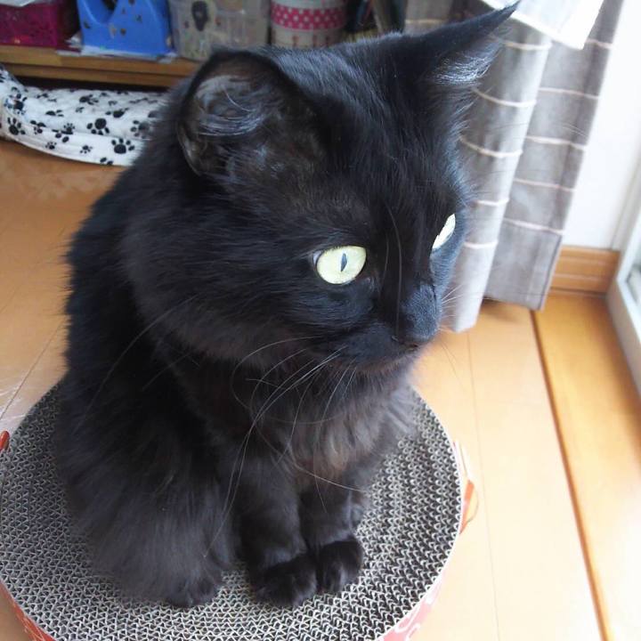 D795f09c 0679 43ec b25a 15c2274965ed 1525573027415