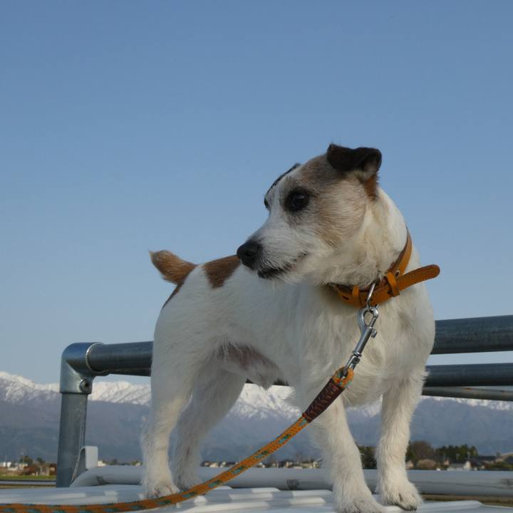 D795f2dd 74e0 46d3 ac8c 9aaef2dc0d86 1588160514131