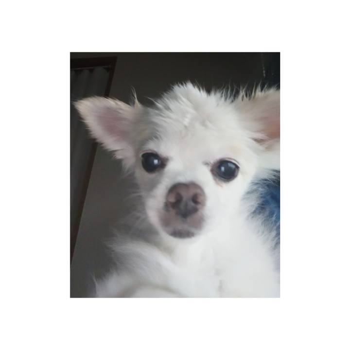 D79609db b42f 4ebc 9f1e f3984cc0a47c 1629721007696