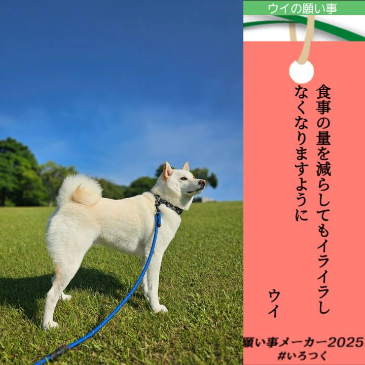 D7961656 2da3 4d70 9319 65ac70dfe3a2 1751890278663