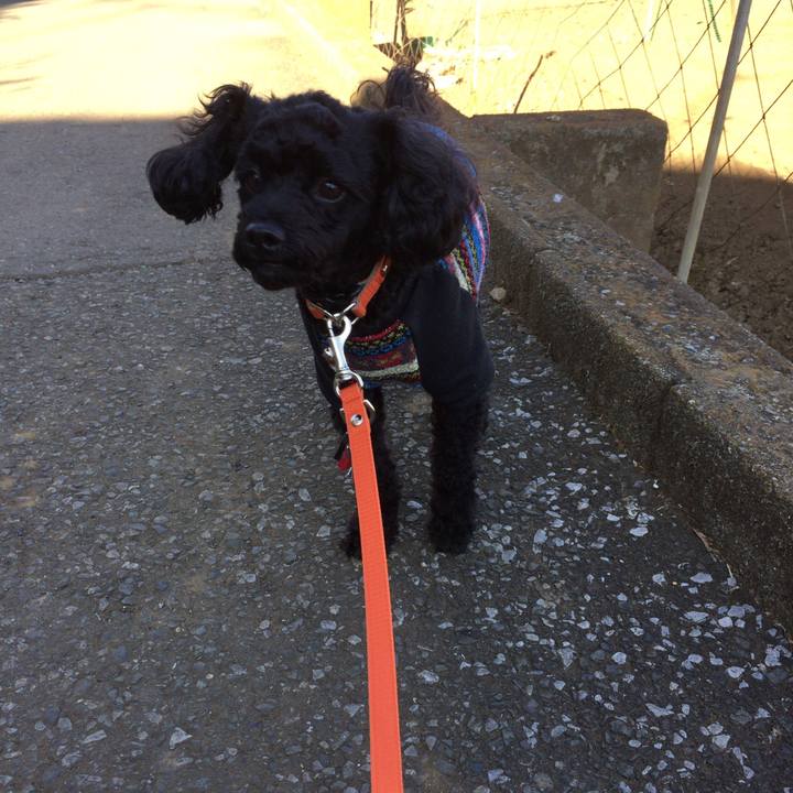 D7962f6d 8859 4df5 a9dc bd8aa6a32587 1513659886001