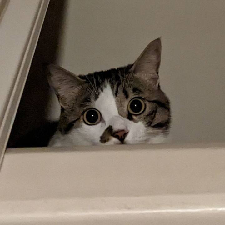 D7963968 63e9 42d7 a909 cdcd8442fa14 1680613122045