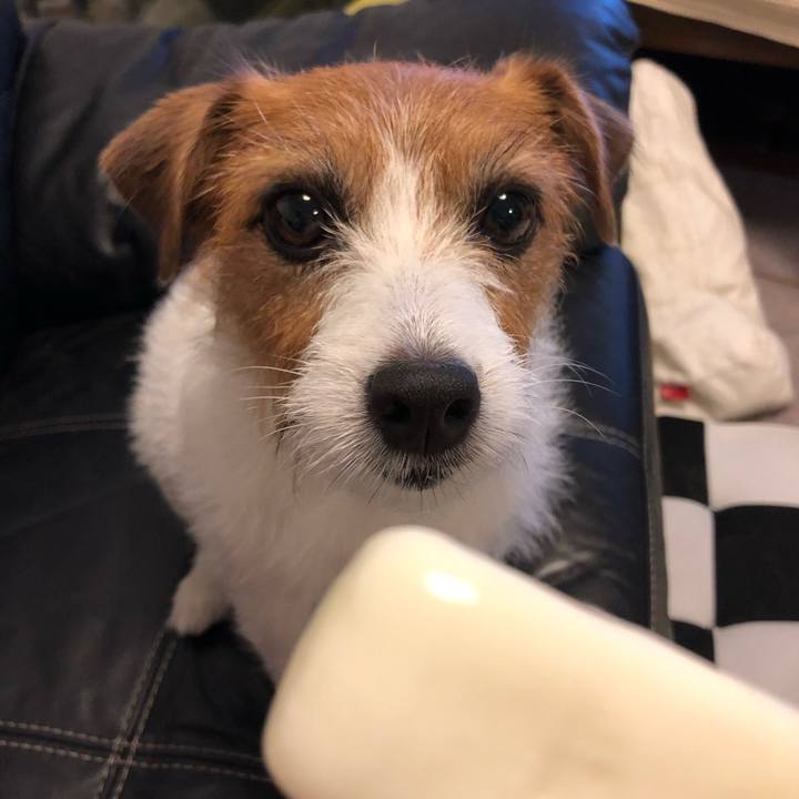 D79649ea c37e 4ece bec7 1bf9599633ce 1571050252836