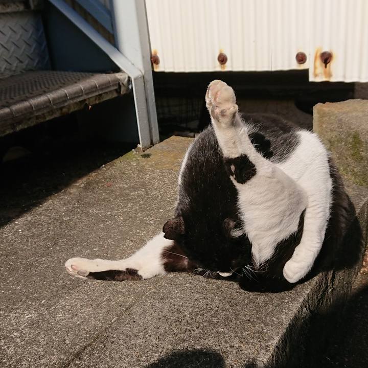 D7966b26 9994 4f4f bf1a 5ac945749494 1547349255656