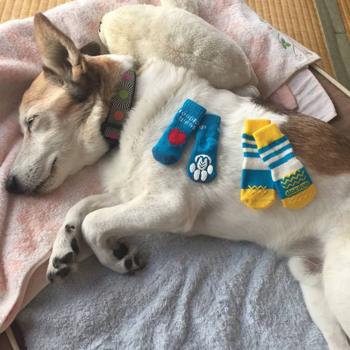 D7966d5e cad5 43eb 99c1 78bb56030bc7 1526087430835