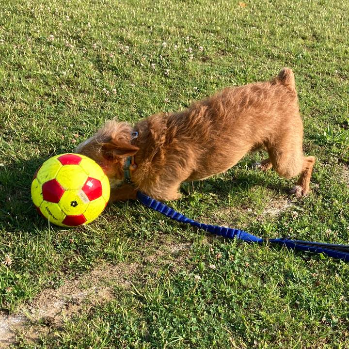 D796b9a6 e9cc 427e 8ee6 e487a91b3e46 1653436273284