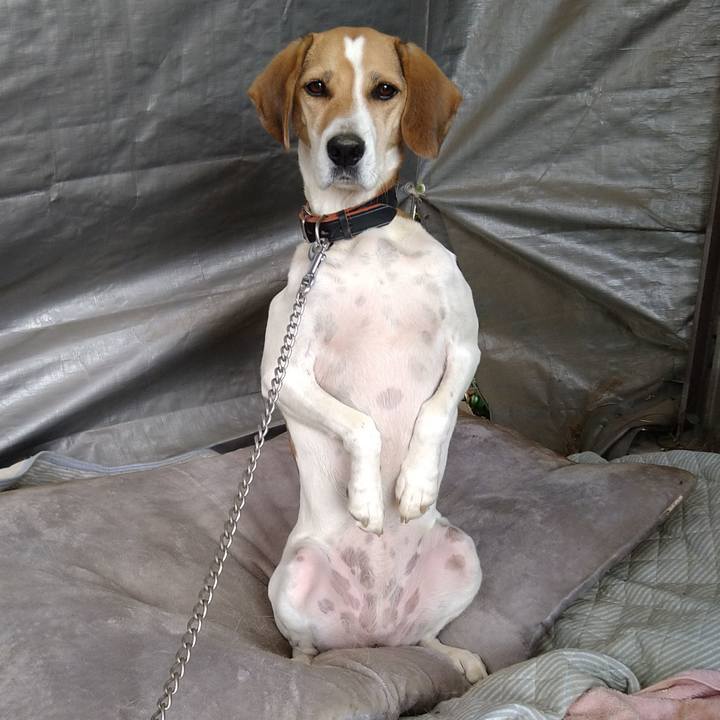 D796c8bf f811 4640 8202 6995f4b502cc 1634536120528